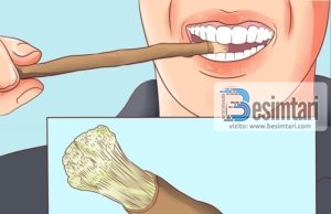 Misvaku antibakterial, brusha që i pastronin dhëmbët myslimanët para 1500 vjetëve