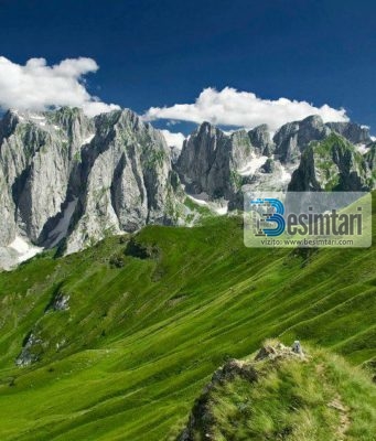 KERKONI SHOKET NE XHENET