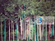 KTHIMI I DJALOSHIT…