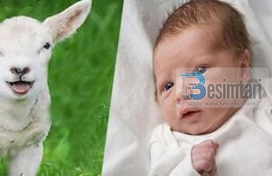 Therrja e kurbanit për fëmiun e posalindur (akika)