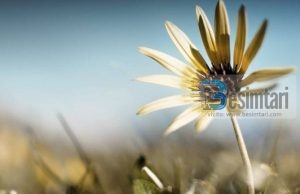 GJËJA MË E ÇUDITSHME TEK NJERËZIT!!