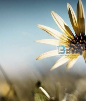 GJËJA MË E ÇUDITSHME TEK NJERËZIT!!