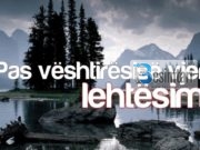 Pas vështirësisë vjen zgjidhja