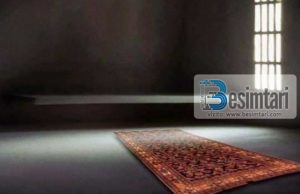 RRËFIMI PËR PLAKËN QË VDIQ NË SEXHDE