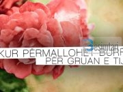 KUR PËRMALLOHET BURRI PËR GRUAN E TIJ?!