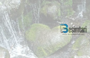 Prej sëmundjeve më të rrezikshme të cilat e godasin robin është ashpërsia e zemrës.