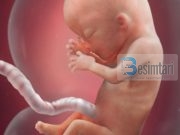 A ËSHTË E LEJUAR RUAJTJA NGA SHTATZANIA?