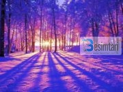 Bora dhe pastrimi nga gjynahet