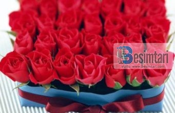 ÇDO NJERI E JEP ATË QË E KA NË ZEMËR