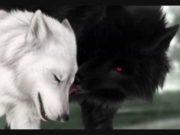 CILI UJK DO TË FITOJ BETEJËN?