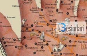 MREKULLIA NE KRIJIMIN E DORES