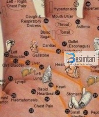 MREKULLIA NE KRIJIMIN E DORES