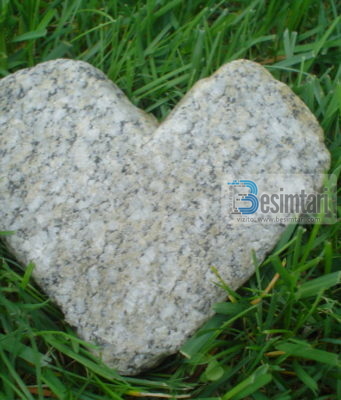 Prej sëmundjeve më të rrezikshme të cilat e godasin robin është ashpërsia e zemrës.