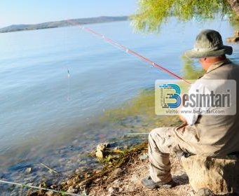 PESHKATARI DHE RRËFIMI PËR FUNDIN E ZULLUMQARËVE