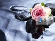 KAPARI I HYRJES NË XHENET