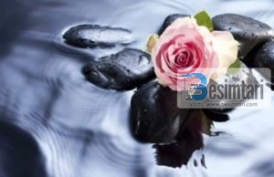 KAPARI I HYRJES NË XHENET