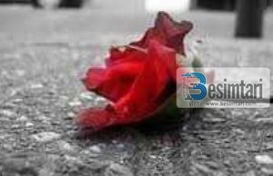 Kjo s’është burrëri për gruan!