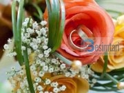 DUA QË DHEMBJEN TA NDJEJMË NE TË DY BASHKËRISHT!