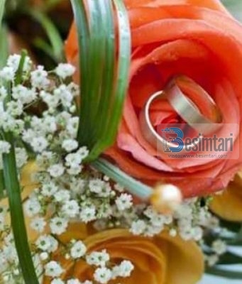 DUA QË DHEMBJEN TA NDJEJMË NE TË DY BASHKËRISHT!