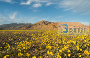 MIRËSIA, E TASHMJA DHE E ARDHMJA!