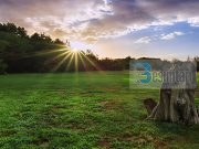 Provo te jetosh nje dite si Ebu Bekri