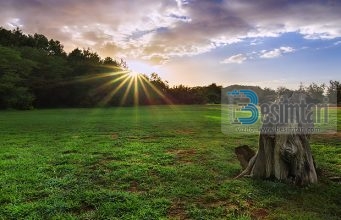 Provo te jetosh nje dite si Ebu Bekri