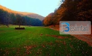 Karkaleci i florinjtë dhe Ejubi (alejhi selam)