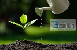 TURPI ZBULOHET EDHE NË KËTË BOTË