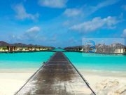 Do të vijë një person i cili është nga banorët e Parajsës