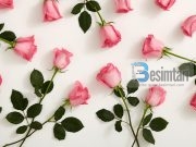 Sjellja e mirë me gruan