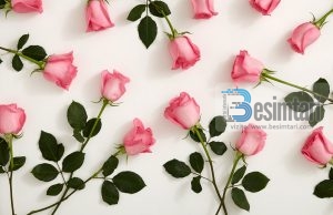 Sjellja e mirë me gruan