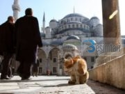 Macet e Stambollit: pa to qyteti do të humbte një pjesë të shpirtit