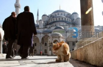 Macet e Stambollit: pa to qyteti do të humbte një pjesë të shpirtit