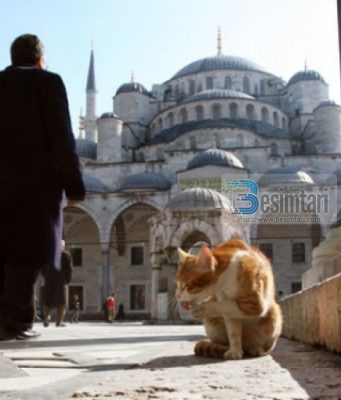 Macet e Stambollit: pa to qyteti do të humbte një pjesë të shpirtit