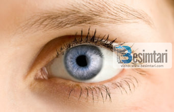 Zinaja e syrit – ULE SHIKIMIN