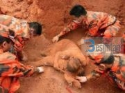 Sakrifica e një nëne gjatë tërmetit në Kinë! (Ngjarje e vërtetë)