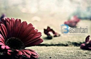 TI E KE MUNDËSINË PËR TA RESPEKTUAR NËNËN TËNDE