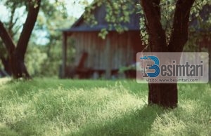 KUSH ËSHTË I PASUR E KUSH FUKARA?