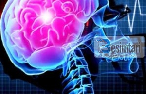 Fakte mahnitëse për trurin