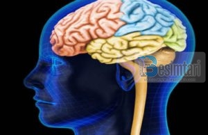 17 Shkaktarët që japin dhimbje të kokës