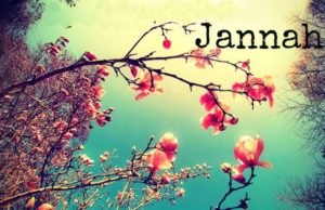 NËSE NUK MË SHIHNI NË XHENET, PYETNI PËR MUA!