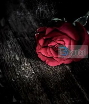 E ZGJODHI BURRIN E SAJ, PARA SE AI TA ZGJEDH ATË!