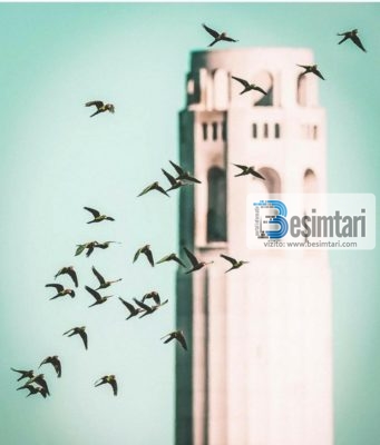 Ilaçi i brengave dhe i pikëllimit!