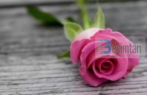 SJELLJA E BURRIT NDAJ GRUAS (KESHILLA PER NJE MARTES TE LUMTUR DHE TE SUKSESSHMES)