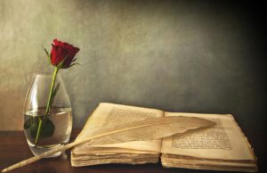 DISA OBLIGIME VËLLAZËRORE NË ISLAM