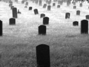 NDALOHET SHARJA E TË VDEKURVE