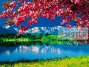 70 Porositë Të Muhammedit sallallahu alejhi selam