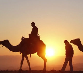 Mos harro se Allahu sheh çdo gjë!