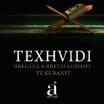 TEXHVIDI-VEDAT-copy.jpg