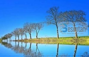 NJIHE PERSONALITETIN TËND NËPËRMJET KËRIJ TREGIMI